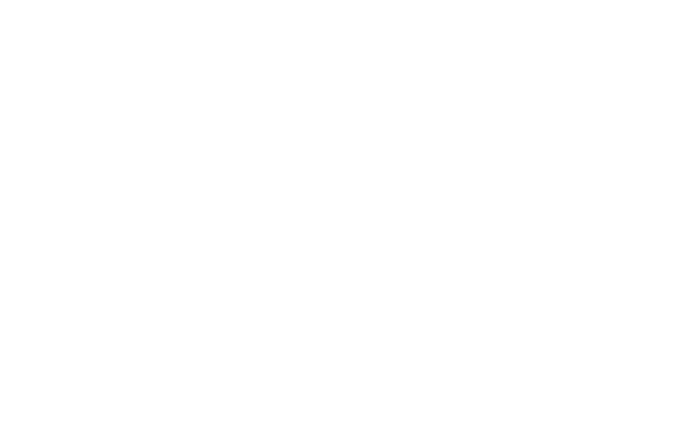 usc x wengler